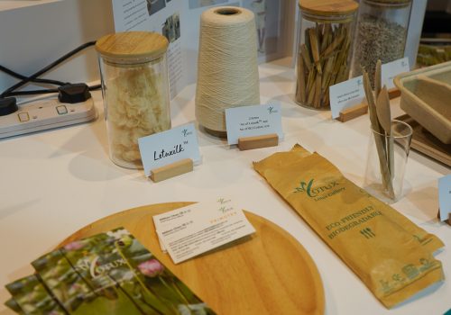 Salon de Hong Kong 2025